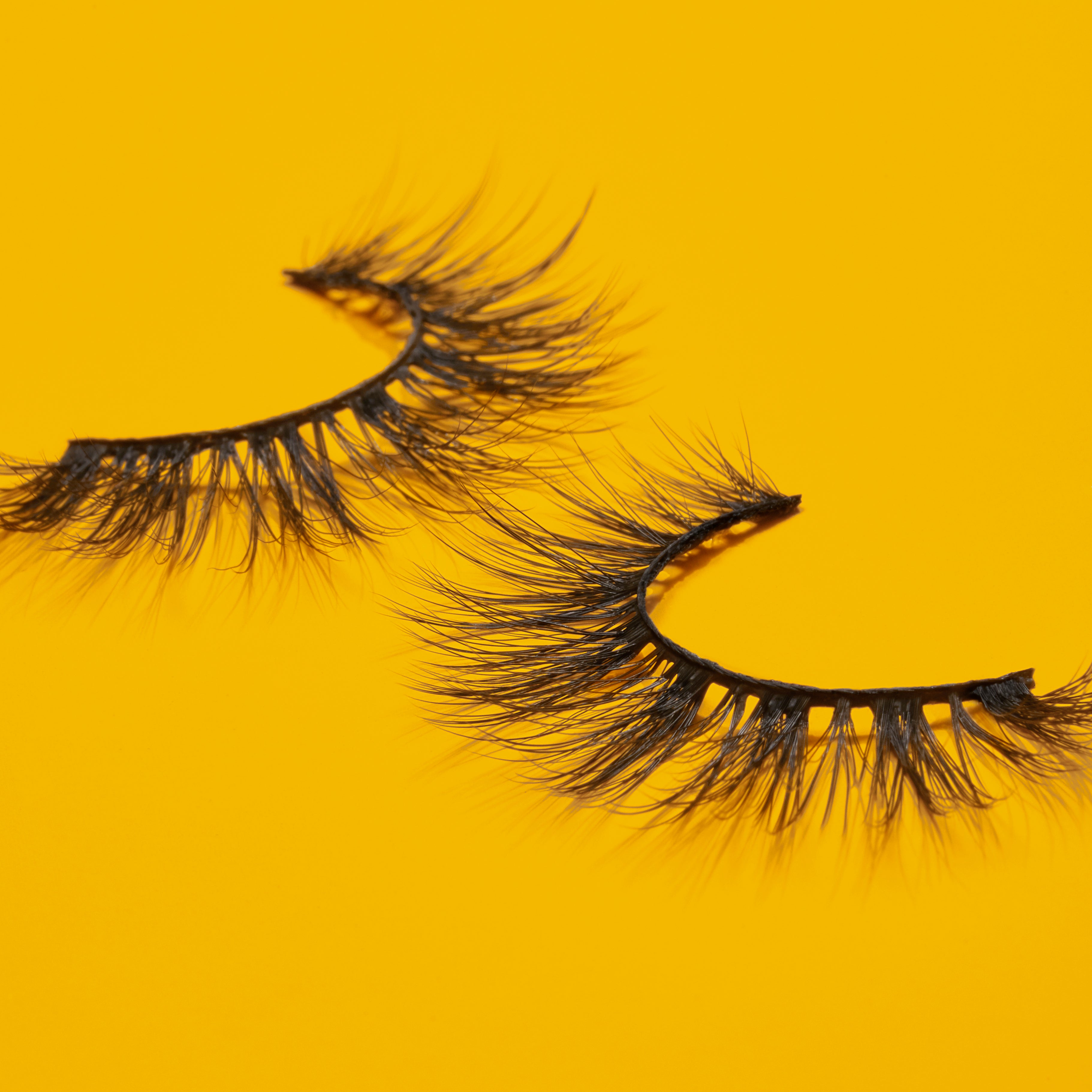 The Nubian Lashes - Royalty