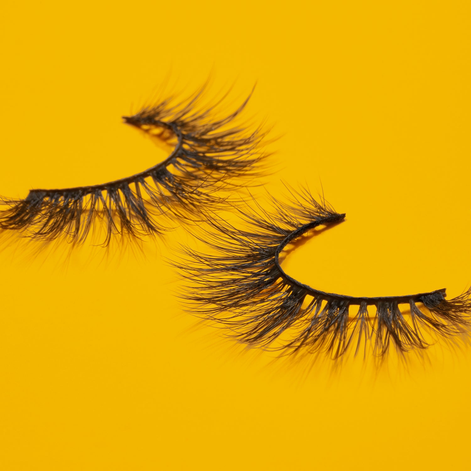 Nubian Lashes Royalty