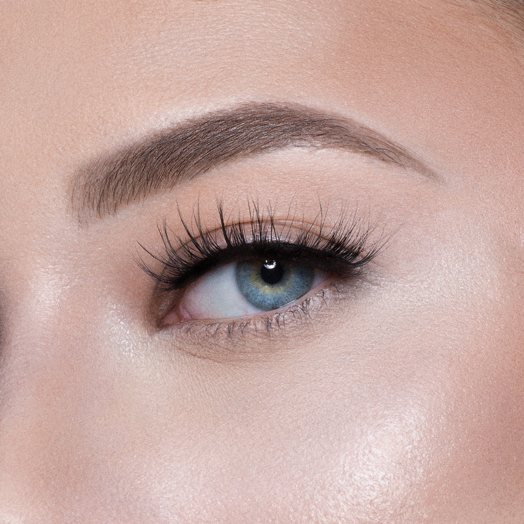 The Nubian Lashes - Siwa
