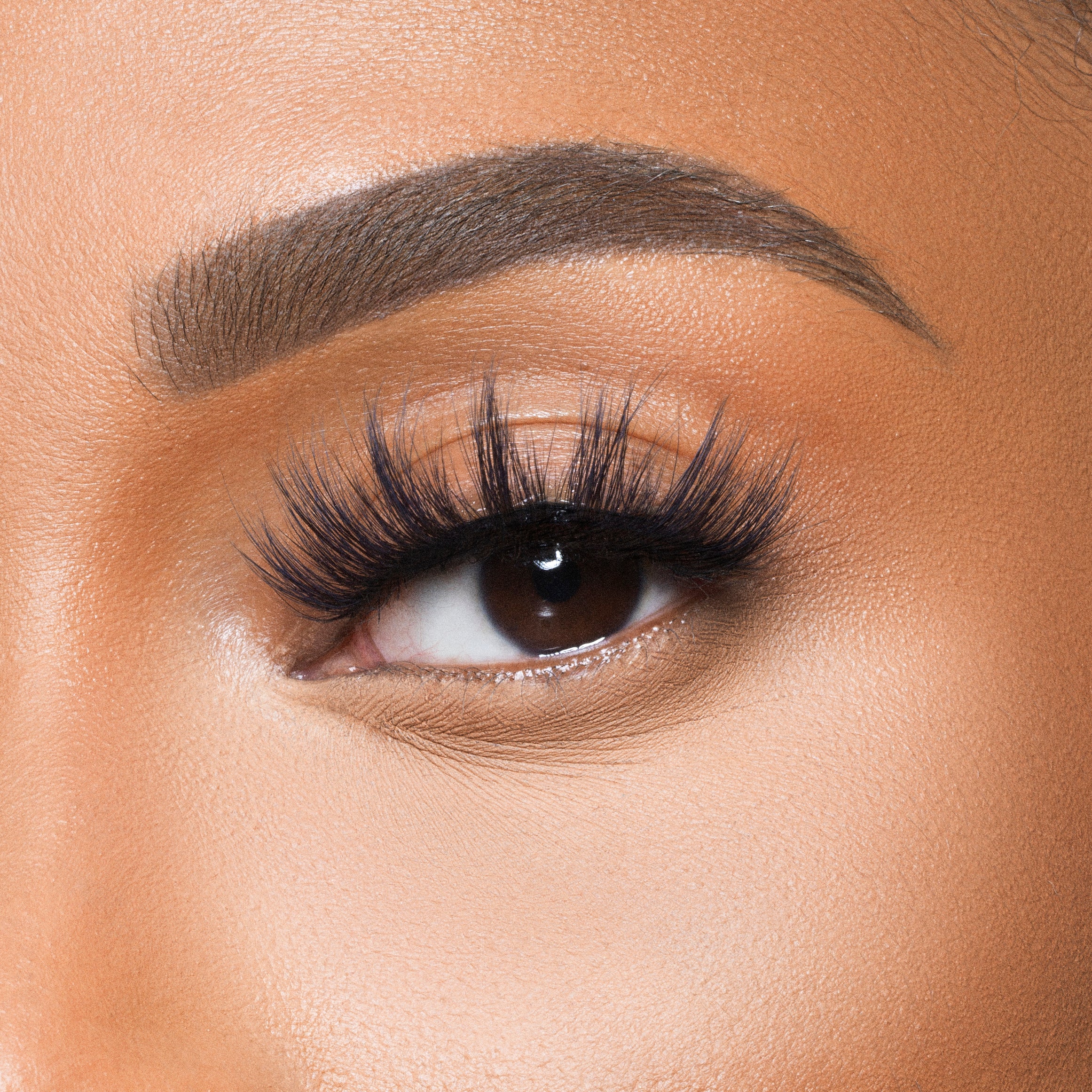 The Nubian Lashes - Egypt