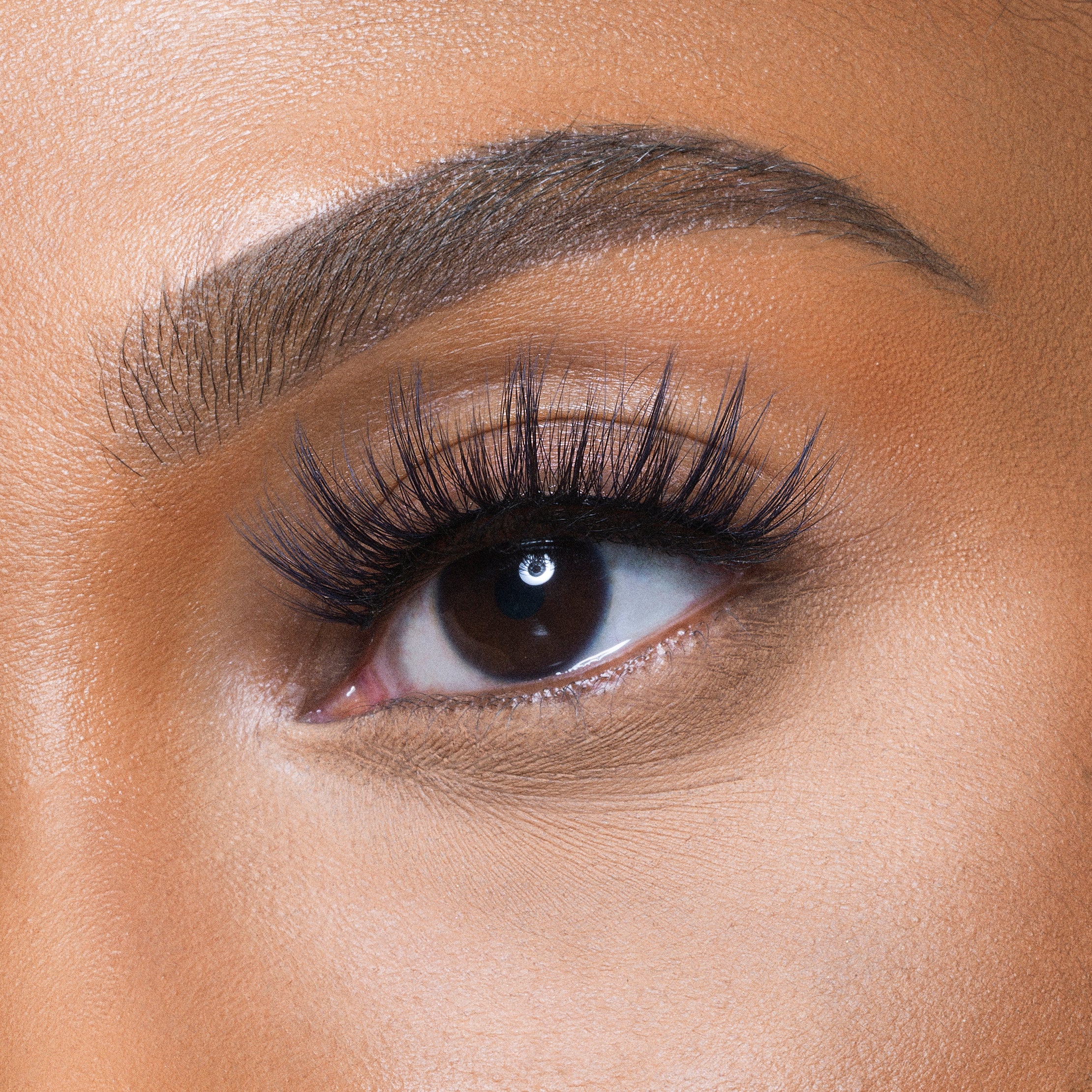The Nubian Lashes - Egypt Lite
