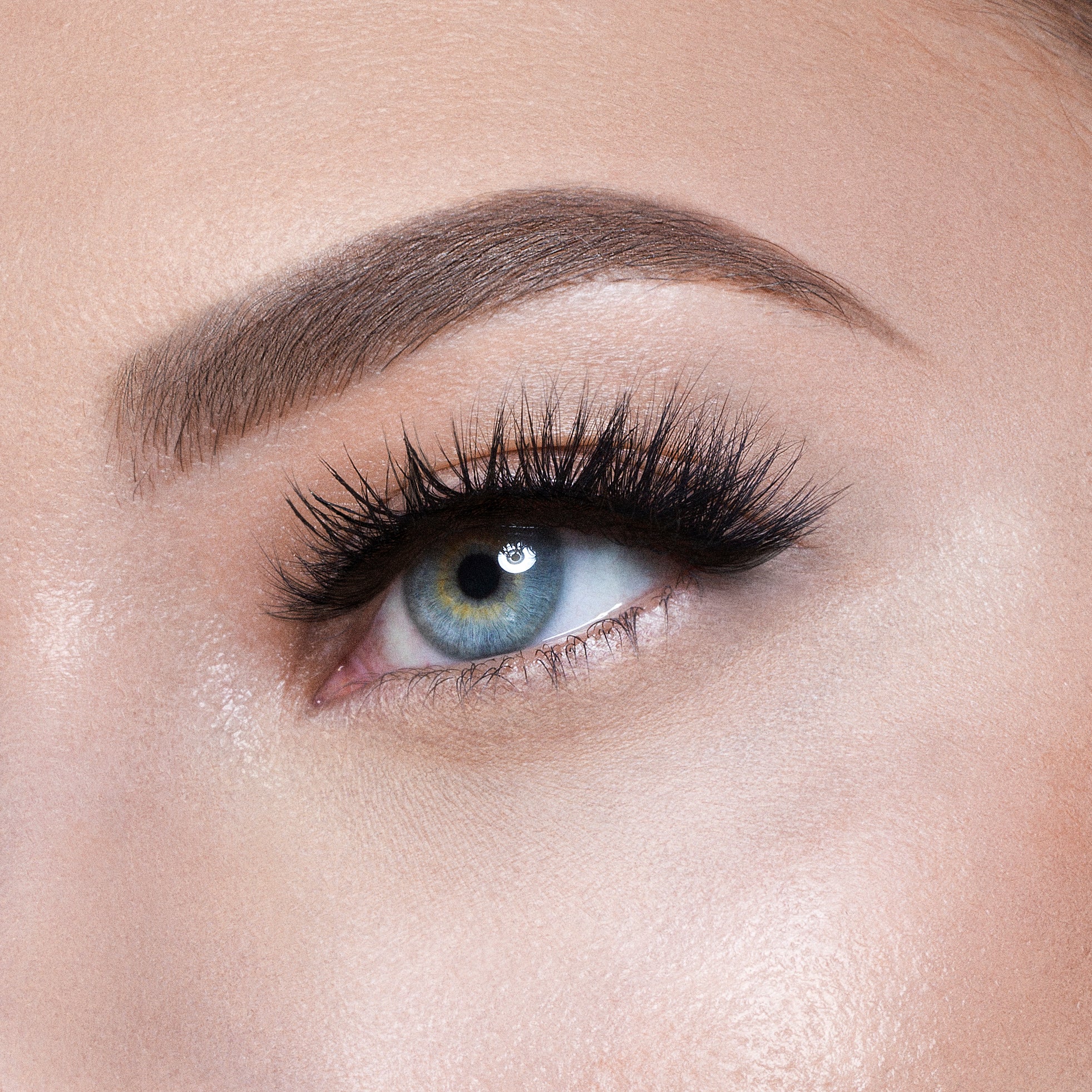 The Nubian Lashes - Kush
