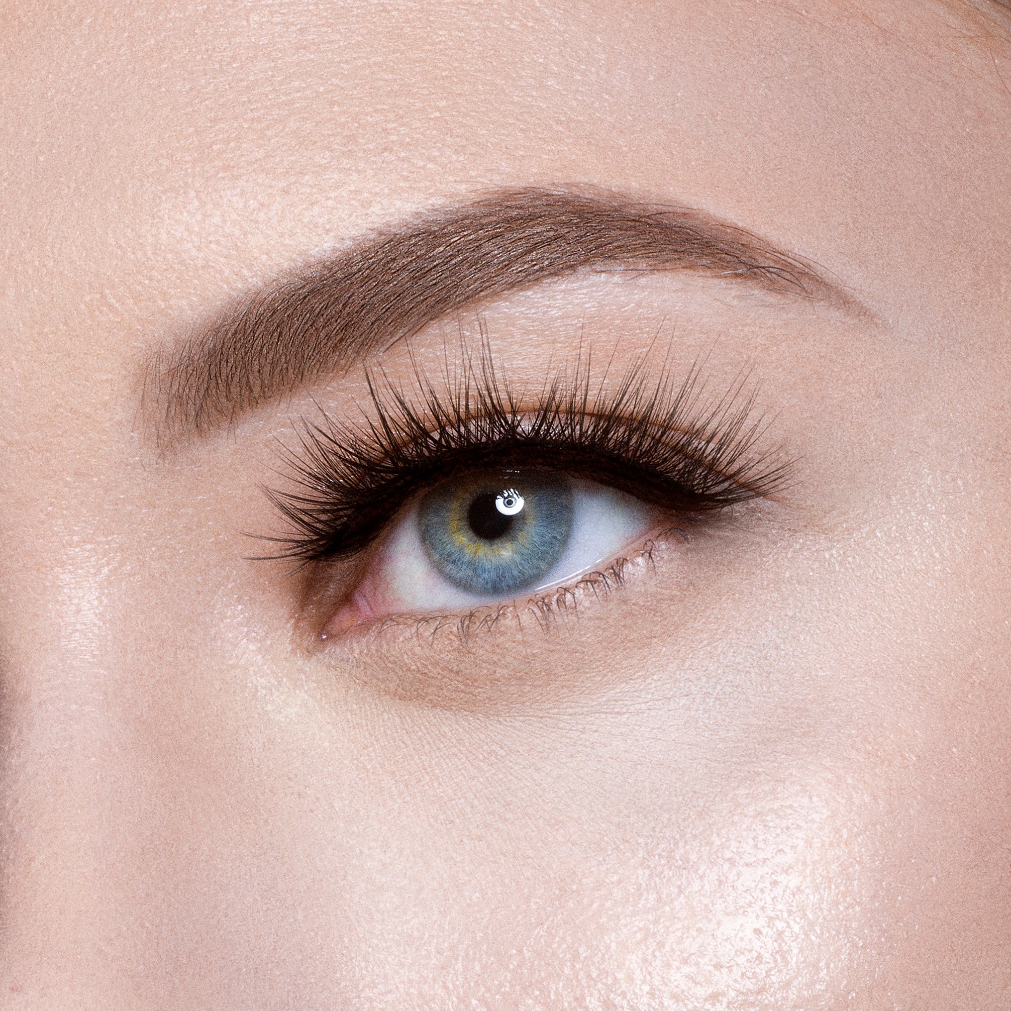 The Nubian Lashes - Zaria