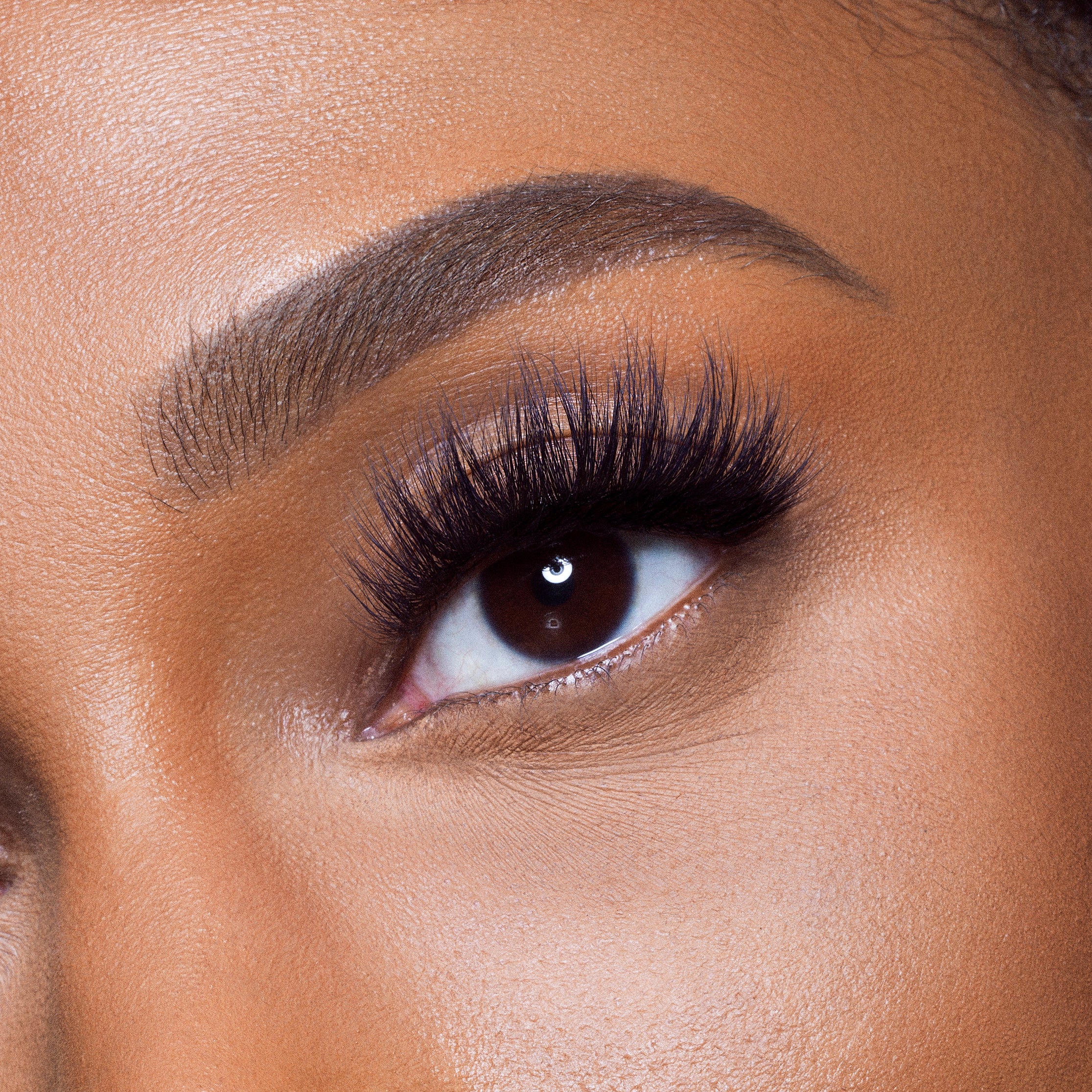 The Nubian Lashes - Nefertiti